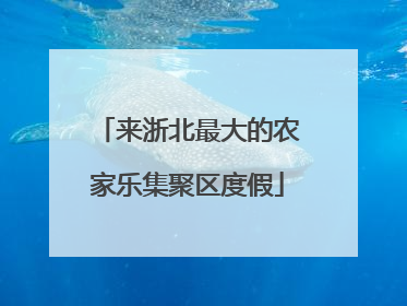 来浙北最大的农家乐集聚区度假